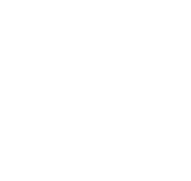 Wholehearted Photography